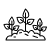 Plantation and Maintenance